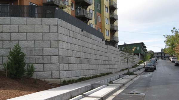 community housing project